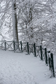 Winter
