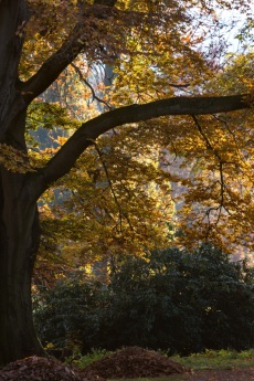 Ohrbergpark