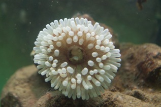 20101027-115326-IMG_2010-10-27-11-53-26_39642