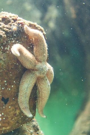 20101027-115359-IMG_2010-10-27-11-53-59_39645