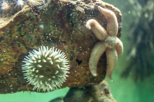 20101027-115509-IMG_2010-10-27-11-55-09_39651