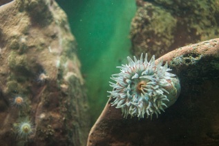 20101027-115702-IMG_2010-10-27-11-57-02_39657