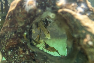 20101027-115855-IMG_2010-10-27-11-58-55_39663