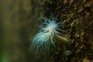 20101027-120028-IMG_2010-10-27-12-00-28_39668