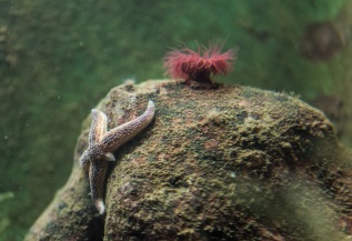 20101027-120145-IMG_2010-10-27-12-01-45_39671