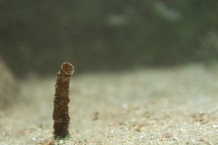 20101027-120339-IMG_2010-10-27-12-03-39_39678