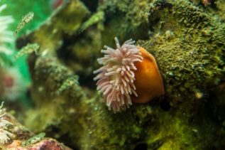 20101027-120359-IMG_2010-10-27-12-03-59_39681