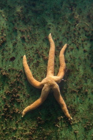 20101027-120811-IMG_2010-10-27-12-08-11_39695