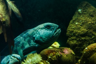 20101027-121306-IMG_2010-10-27-12-13-06_39723