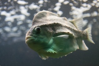 20101027-121445-IMG_2010-10-27-12-14-45_39729