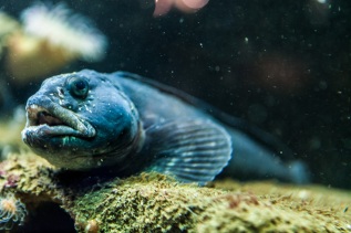 20101027-121542-IMG_2010-10-27-12-15-42_39735