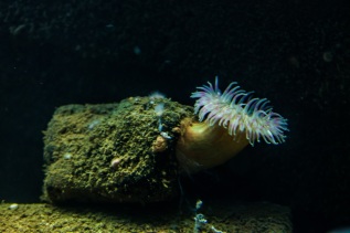 20101027-121633-IMG_2010-10-27-12-16-33_39740