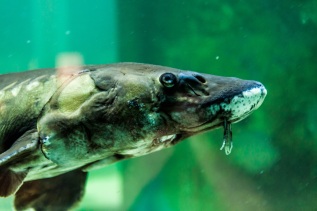 20101027-125513-IMG_2010-10-27-12-55-13_39904