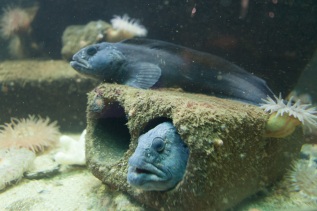 20101027-125821-IMG_2010-10-27-12-58-21_39913