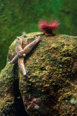 20101027-130713-IMG_2010-10-27-13-07-13_39956