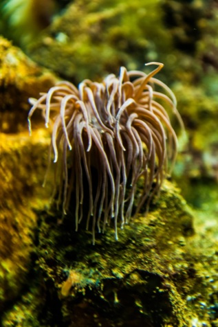 20101027-130900-IMG_2010-10-27-13-09-00_39966