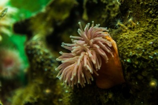 20101027-131013-IMG_2010-10-27-13-10-13_39970