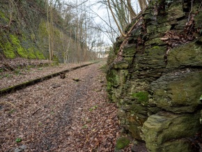 Hameln-20210314-153541-_3140401