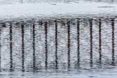 20160710-090528-ING_2016-07-10-09-05-28_75059