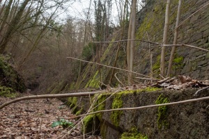 Hameln-20210314-152638-_3140369