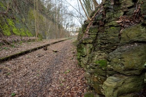 Hameln-20210314-153541-_3140401