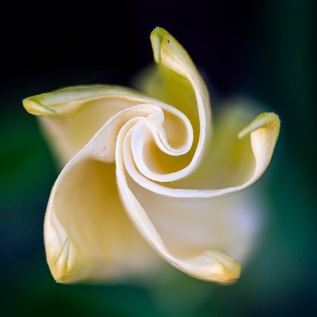 20051003-182715-IMG_2005-10-03-18-27-15_07101-Verbessert-SR