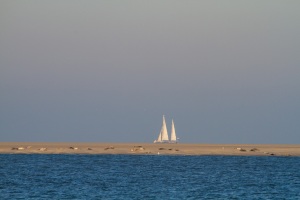 Borkum-20111015-092839-IMG_2011-10-15-09-28-39_52566