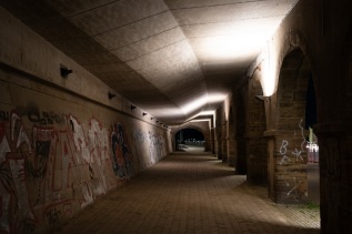 20231117-175011-DSCF4975