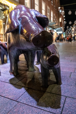 20231117-182515-DSCF5033