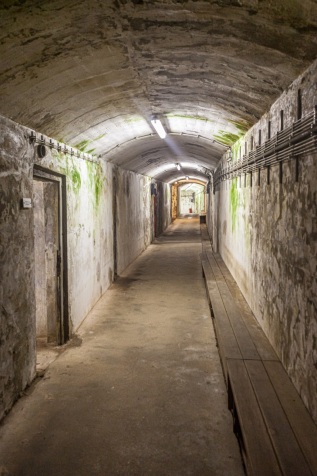 20101025-163400-IMG_2010-10-25-16-34-00_38856