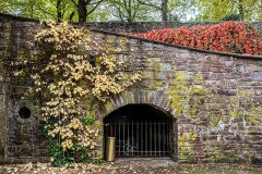 Burg und Schloss Bad Pyrmont