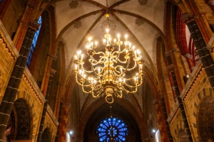 Bremen-20251215-171100-DSCF3910