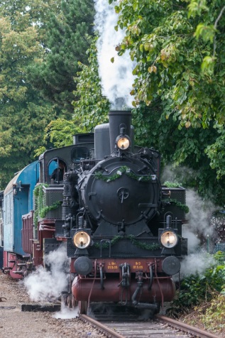 20080824-153139-IMG_2008-08-24-15-31-39_28984-Verbessert