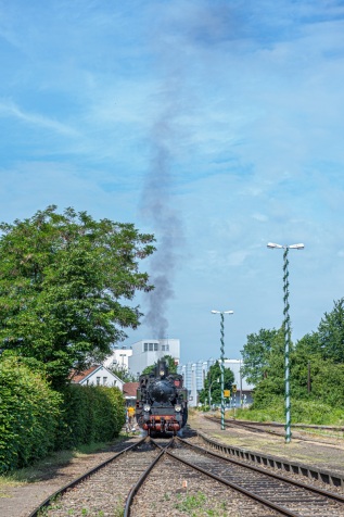 20090614-095114-IMG_2009-06-14-09-51-14_32239