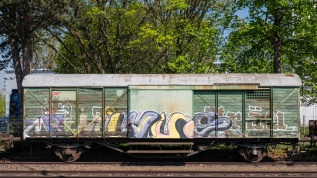 20250420-113222-DSCF7529