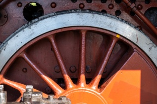 20250420-115618-DSCF7582