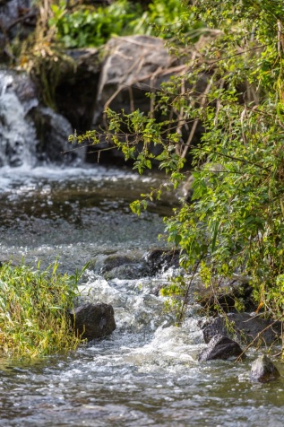 20141011-155532-IMG_2014-10-11-15-55-32_66406