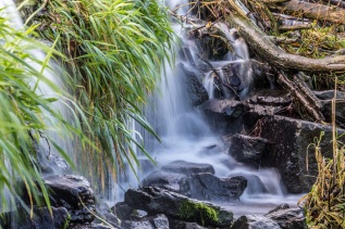 20141101-153929-IMG_2014-11-01-15-39-29_67328-Verbessert