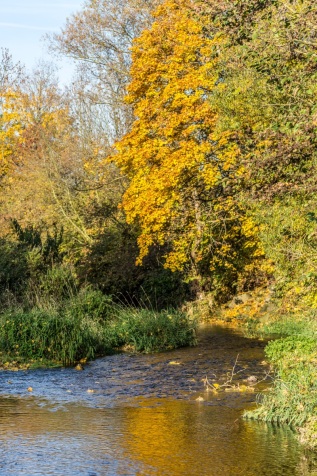 Mühlgraben unterhalb der Staumauer