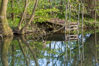 20170420-175907-IMG_2017-04-20-17-59-07_84015