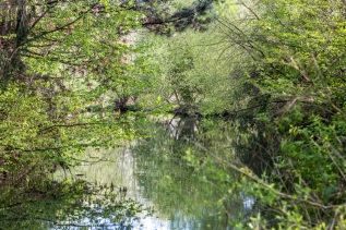 20170420-180123-IMG_2017-04-20-18-01-23_84023