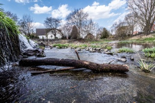 20190330-142937-_3300052