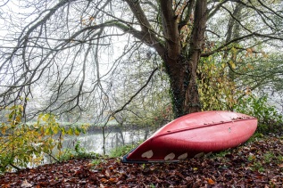 20241104-103042-DSCF5966-2