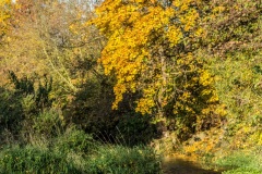 Mühlgraben unterhalb der Staumauer