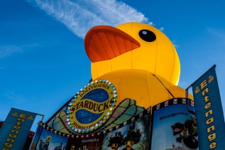 Bremen-20251018-165424-DSCF3130