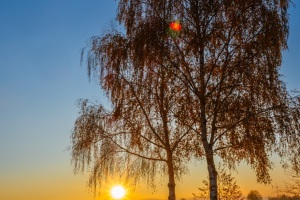 Emmerthal-20221113-170810-_B130397