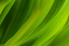 20250406-144937-DSCF7436