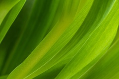 20250406-144937-DSCF7436