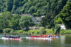 Hamelner Drachenbootrennen 2025