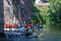 Hamelner Drachenbootrennen 2025